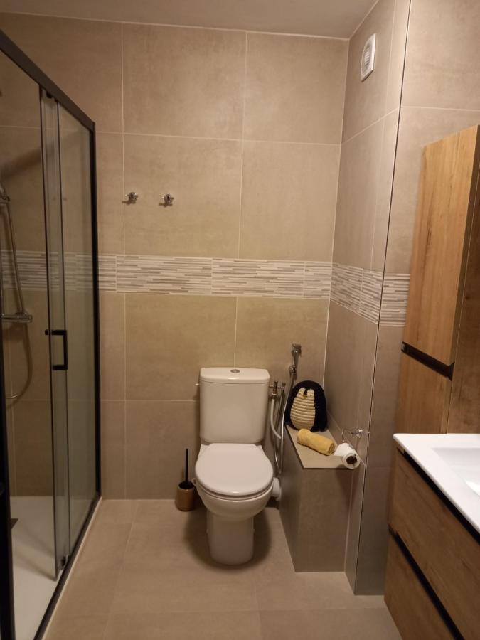 Appartement Cosy Proche Du Lac Анси Экстерьер фото
